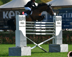 stallion Cuick Star Kervec (Selle Français, 2012, from Quick Star)