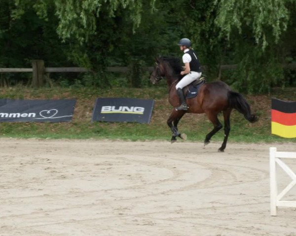 Reitturnier Walldorf/Winterheck PSG 2023