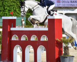 jumper Geodina Hs (KWPN (Royal Dutch Sporthorse), 2011, from Bodinus)