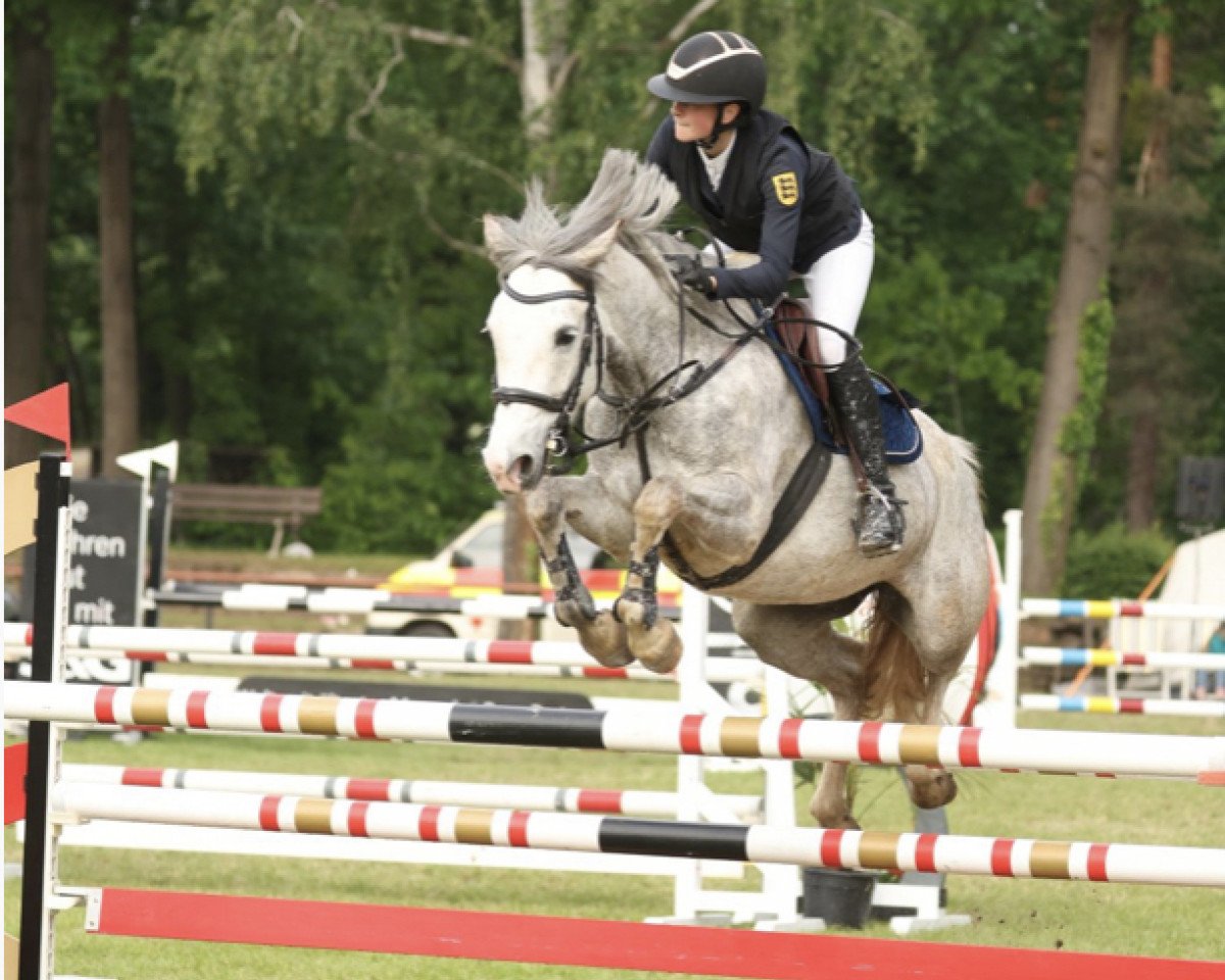 broodmare Despina 80 (German Riding Pony, 2017, from Del Piero 25)