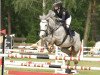 broodmare Despina 80 (German Riding Pony, 2017, from Del Piero 25)