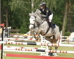 broodmare Despina 80 (German Riding Pony, 2017, from Del Piero 25)