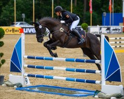 dressage horse Beautyful Girl (Austrian Warmblood, 2007)