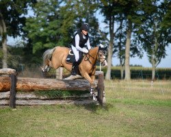 Springpferd Magic Dream (Deutsches Reitpony, 2008, von FS Mr. Mobility)