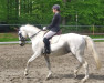 dressage horse Whitney 342 (Württemberger, 2006, from Wolkenzug)