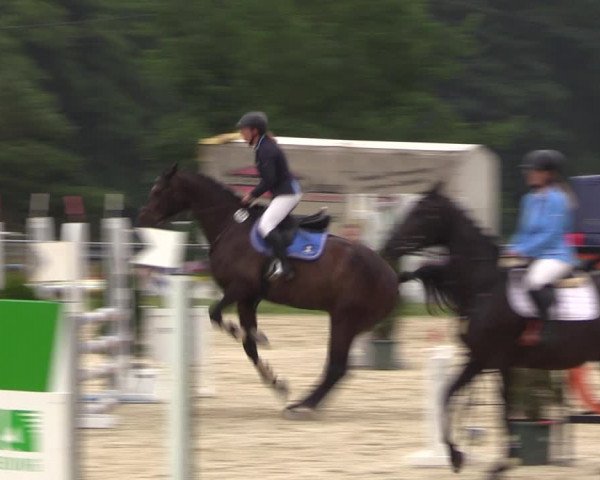 Reitturnier Bad Liebenstein/Sorga 2023