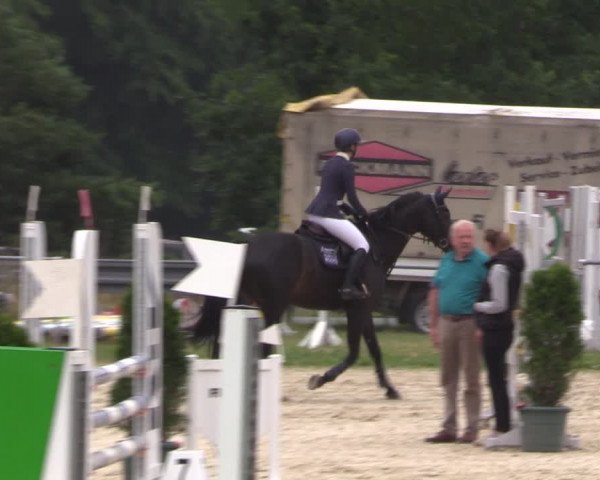 Reitturnier Bad Liebenstein/Sorga 2023