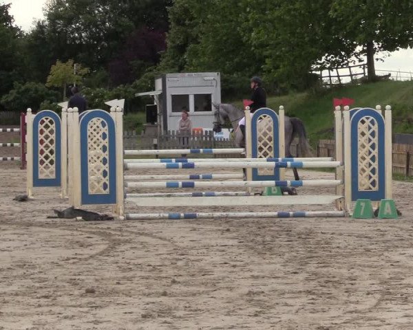 Reitturnier Schülp / Rendsburg 2023