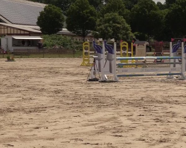 Reitturnier Schülp / Rendsburg 2023
