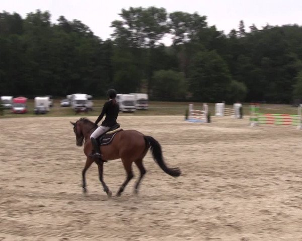 Reitturnier Bad Liebenstein/Sorga 2023