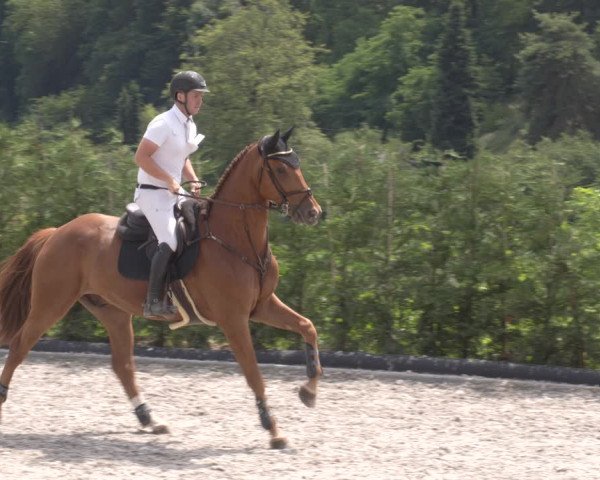 Reitturnier Margarethenhof /Beckingen 2023