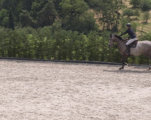Reitturnier Margarethenhof /Beckingen 2023