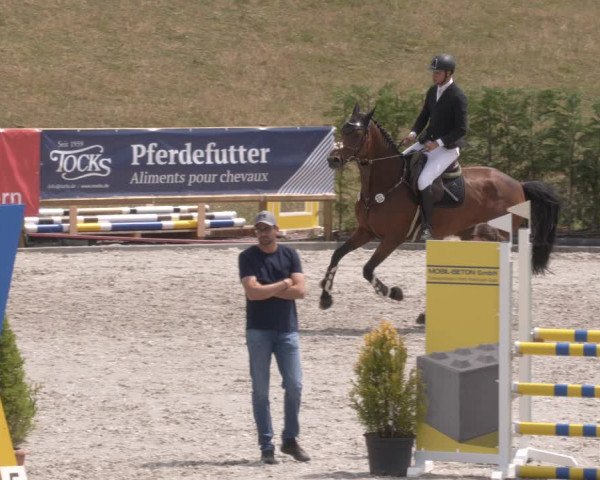 Reitturnier Margarethenhof /Beckingen 2023