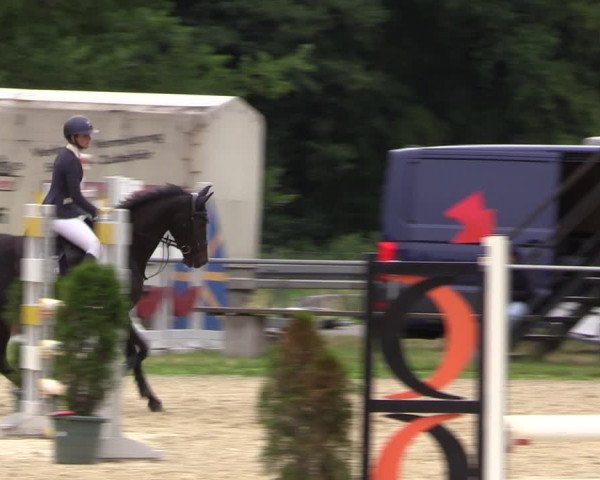 Reitturnier Bad Liebenstein/Sorga 2023
