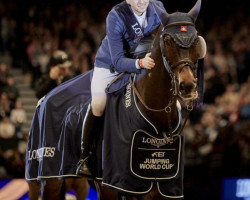 jumper The Sinner (Oldenburg show jumper, 2008, from Sanvaro)