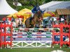 jumper L&l Lorde (Portuguese Sporthorse, 2015, from Clyde Lvb Z)