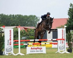 jumper Maria 59 (German Warmblood, 2015, from Carl Albert von Perm)