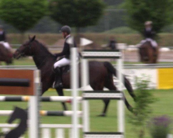 Reitturnier Dersekow 2023