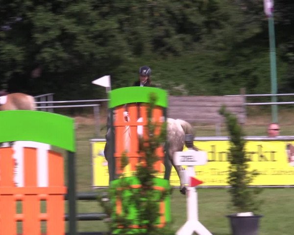 Reitturnier Dersekow 2023