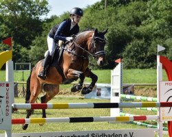 jumper Casanova's Bad Boy J (German Riding Pony, 2018, from Cartusch)