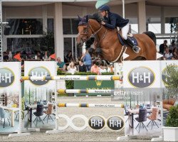 Springpferd Ombre van 't Zorgvliet (Belgisches Warmblut, 2014, von Emerald van 't Ruytershof)