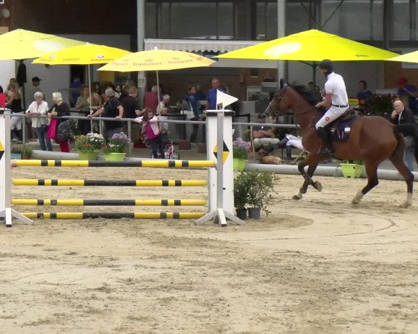 Reitturnier Rankweil 2023