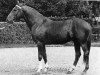 stallion Crak d'Bourgogne (Selle Français, 1968, from Joue tes Atouts)