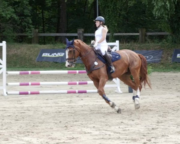 Reitturnier Walldorf/Winterheck PSG 2023