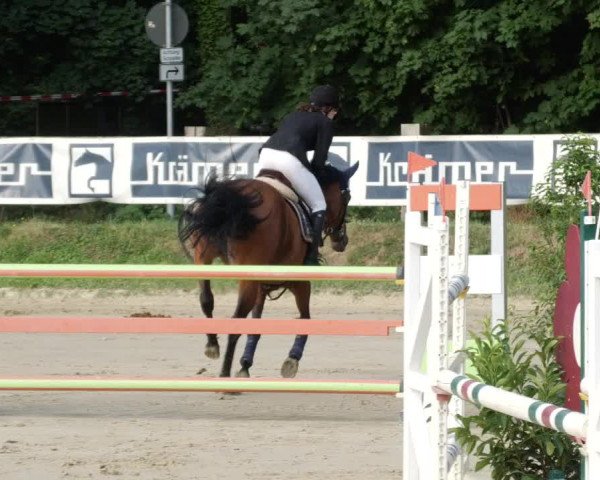 Reitturnier Walldorf/Winterheck PSG 2023