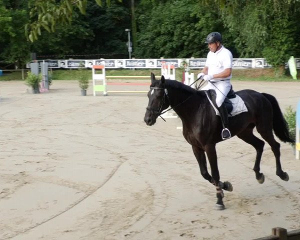 Reitturnier Walldorf/Winterheck PSG 2023