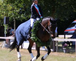 jumper Camiro 49 (Holsteiner, 2009, from Carlos DZ)