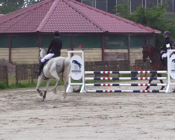 Reitturnier Schülp / Rendsburg 2023