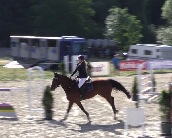 Reitturnier Bad Liebenstein/Sorga 2023