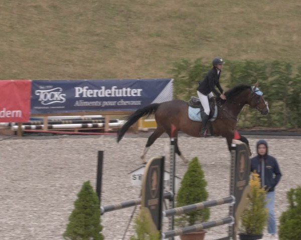 Reitturnier Margarethenhof /Beckingen 2023