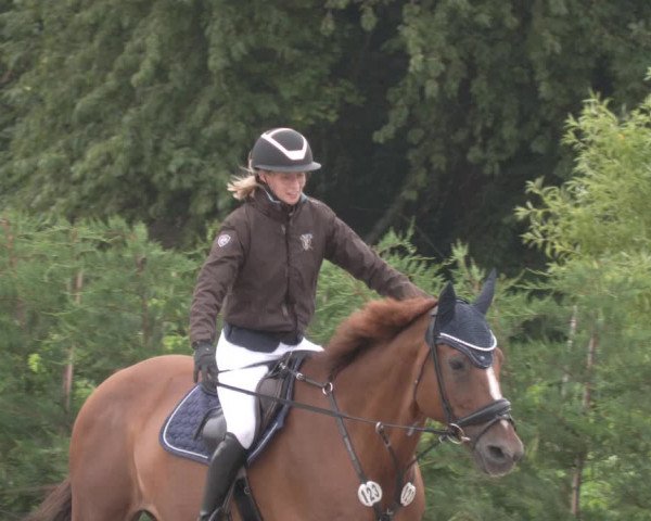 Reitturnier Margarethenhof /Beckingen 2023