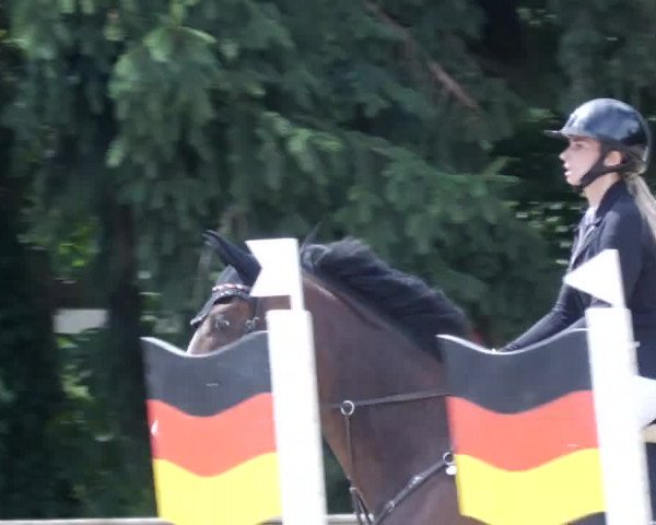 Reitturnier Walldorf/Winterheck PSG 2023