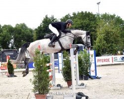 jumper Bibi Pennylyn (German Sport Horse, 2018, from Big Star)