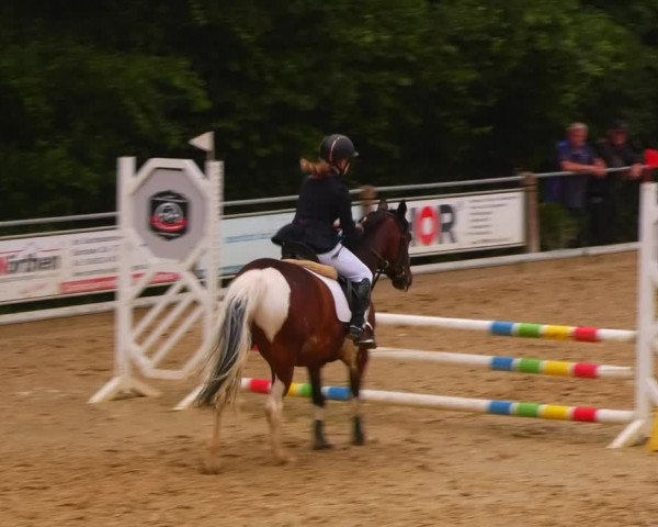 Reitturnier Uder, Reitanlage Kobold 2023