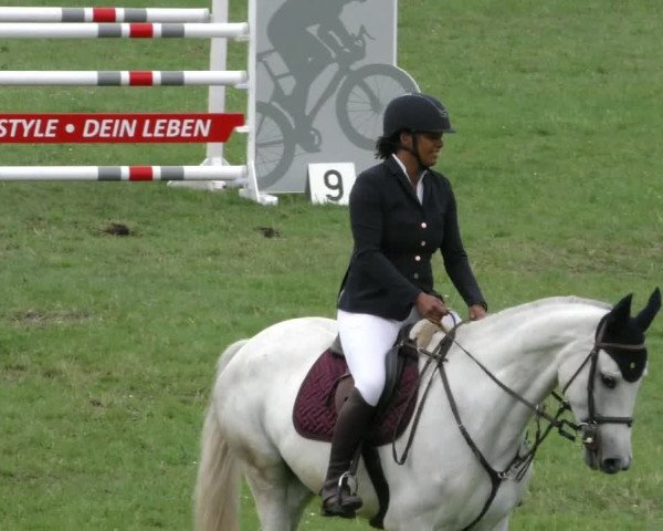 Reitturnier Wolfsburger Klassiker 2023