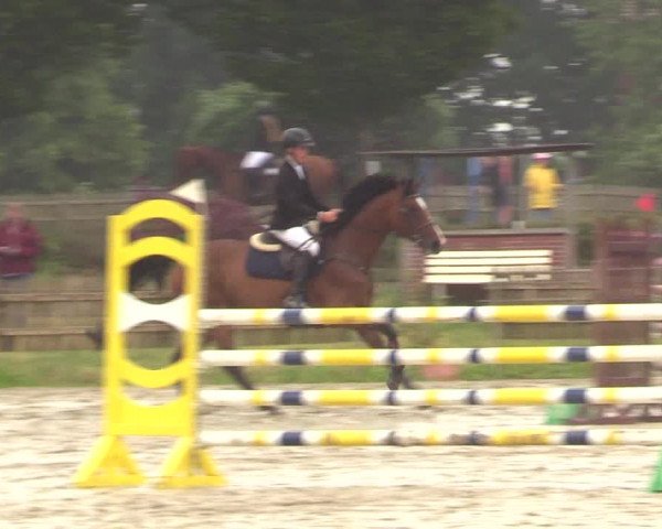 Reitturnier Schülp / Rendsburg 2023