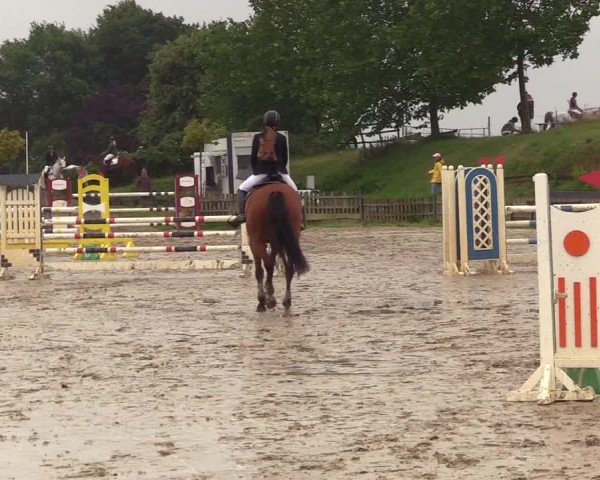 Reitturnier Schülp / Rendsburg 2023