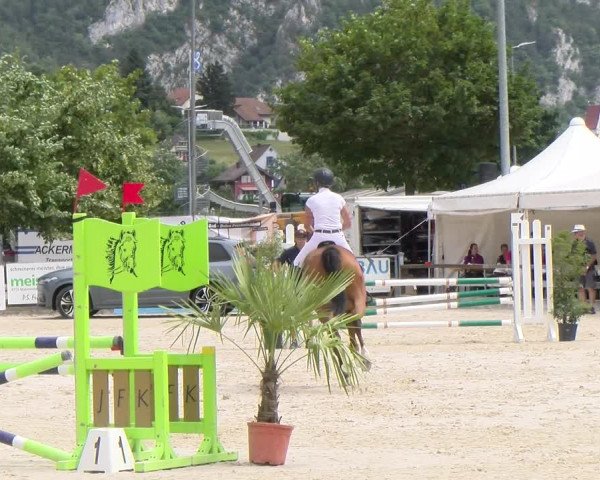 Reitturnier Balsthal 2023