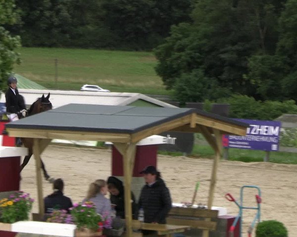 Reitturnier Kalenborn Hegehof 2023