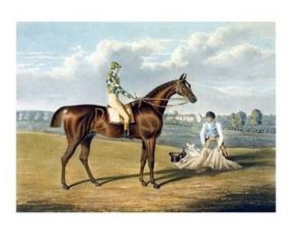 stallion Barefoot xx (Thoroughbred, 1868, from Lord Clifden xx)