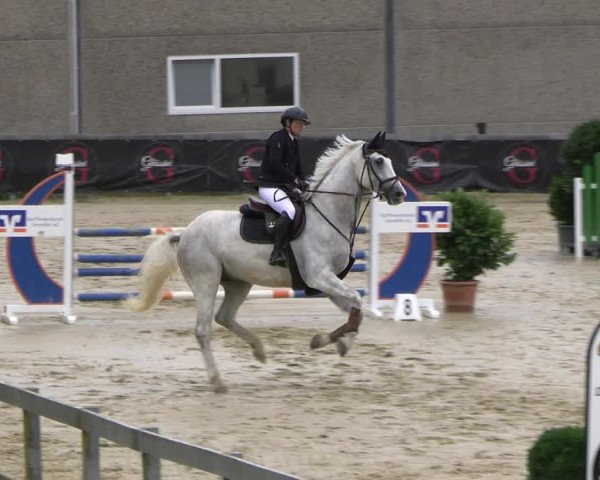 Reitturnier Kalenborn Hegehof 2023