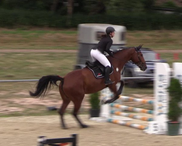 Reitturnier Bad Liebenstein/Sorga 2023