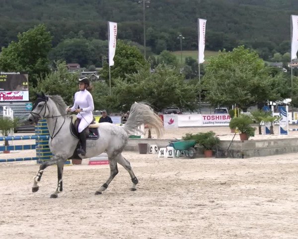 Reitturnier Balsthal 2023