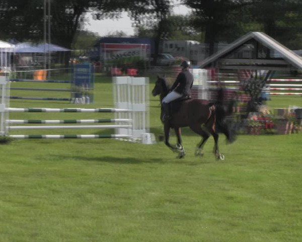 Reitturnier Ihleburg 2023