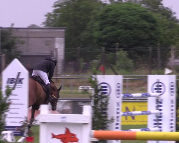 Reitturnier Dersekow 2023