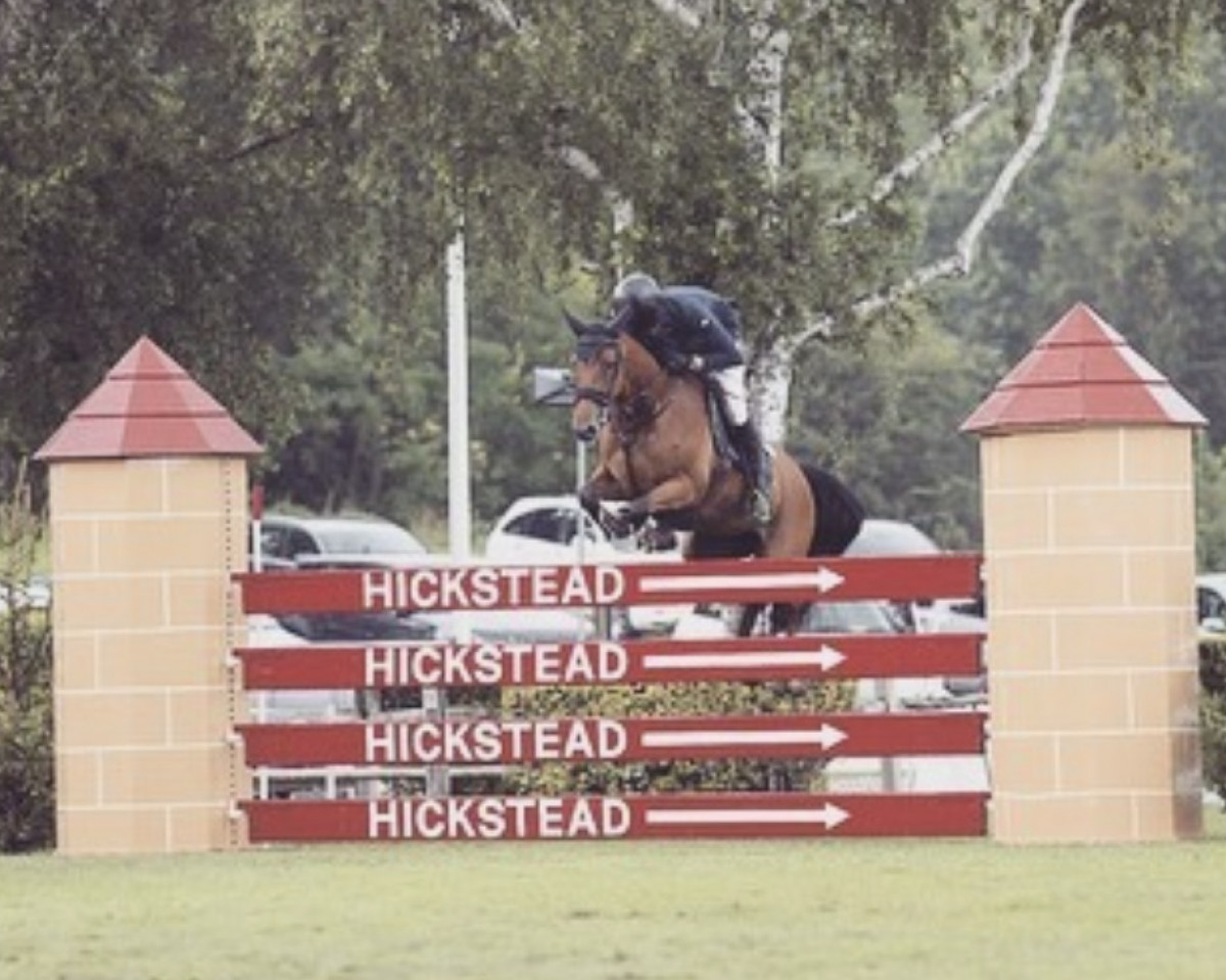 Springpferd Happy Valerie (KWPN (Niederländisches Warmblut), 2012, von Verdi)